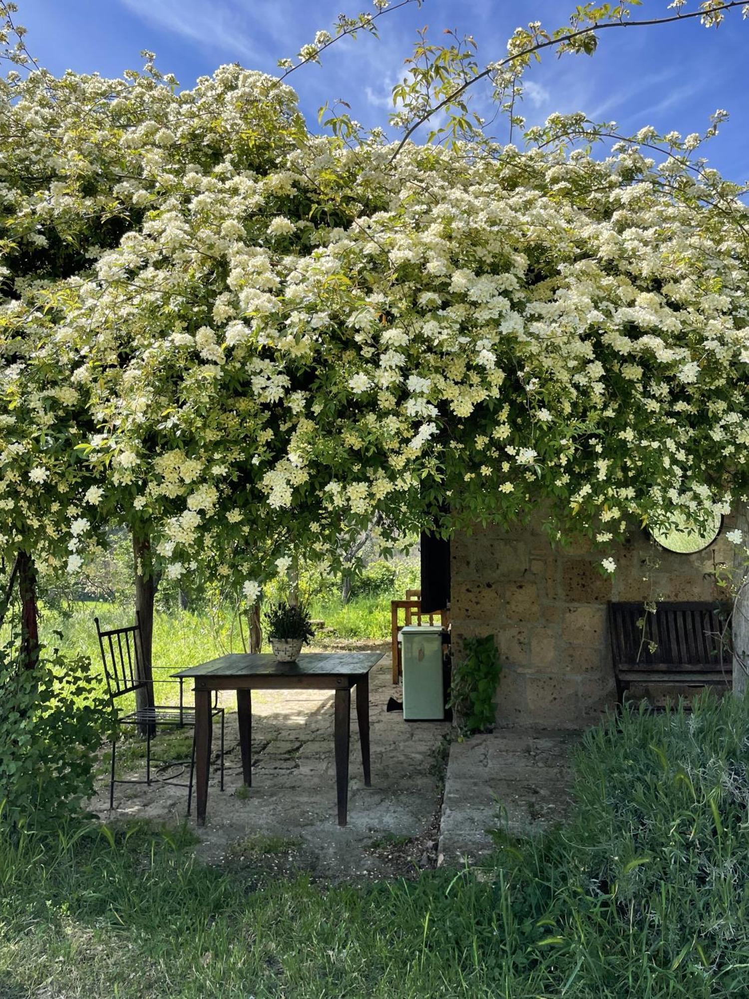 Agriturismo Locanda Settimo Cielo Lubriano Екстер'єр фото