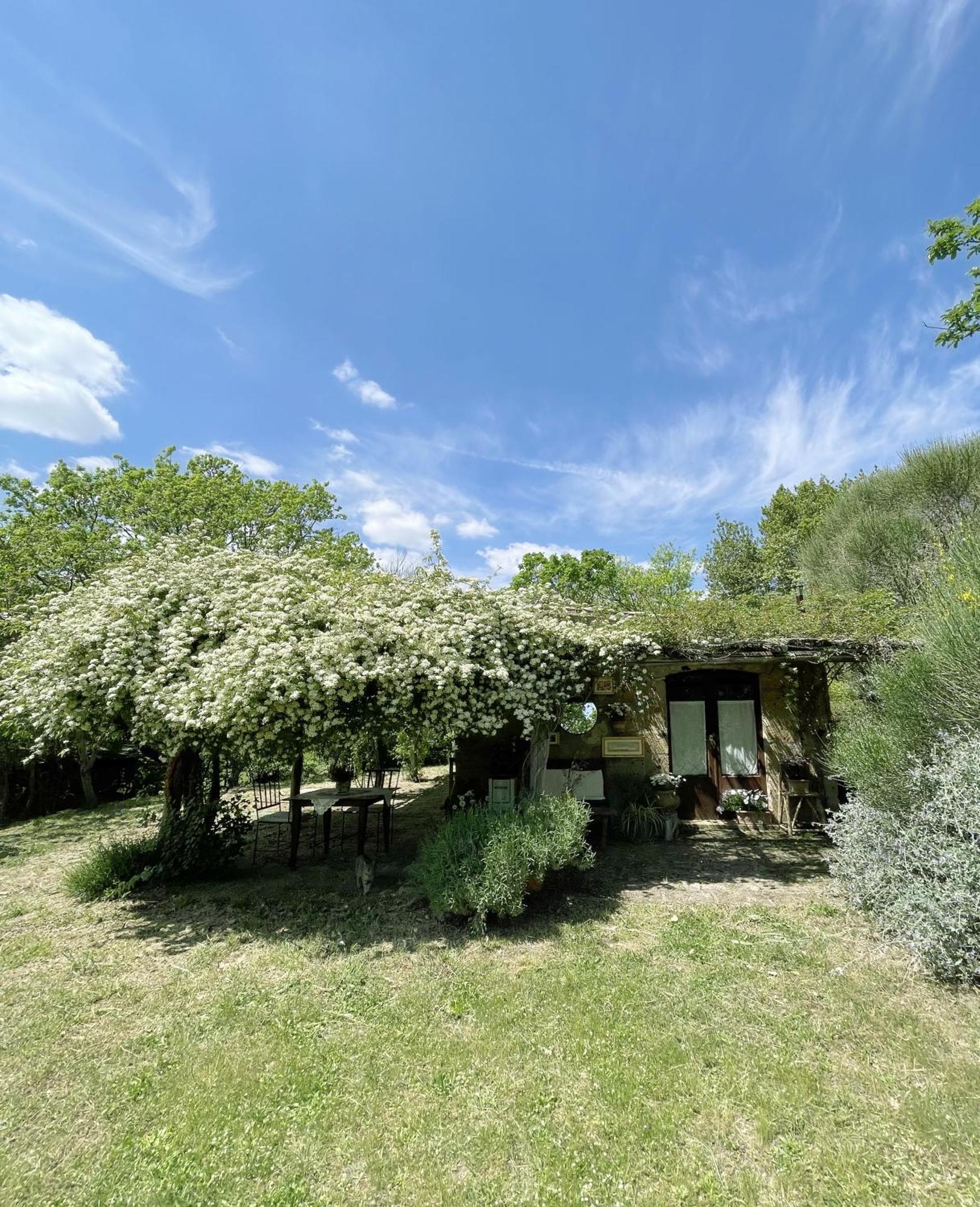 Agriturismo Locanda Settimo Cielo Lubriano Екстер'єр фото