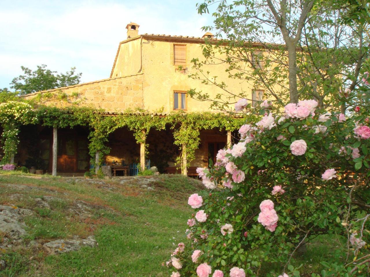 Agriturismo Locanda Settimo Cielo Lubriano Екстер'єр фото