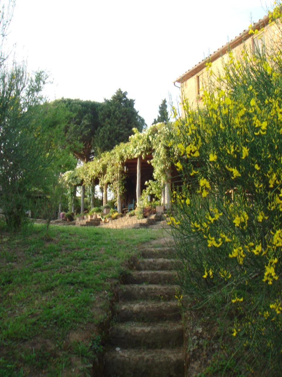 Agriturismo Locanda Settimo Cielo Lubriano Екстер'єр фото
